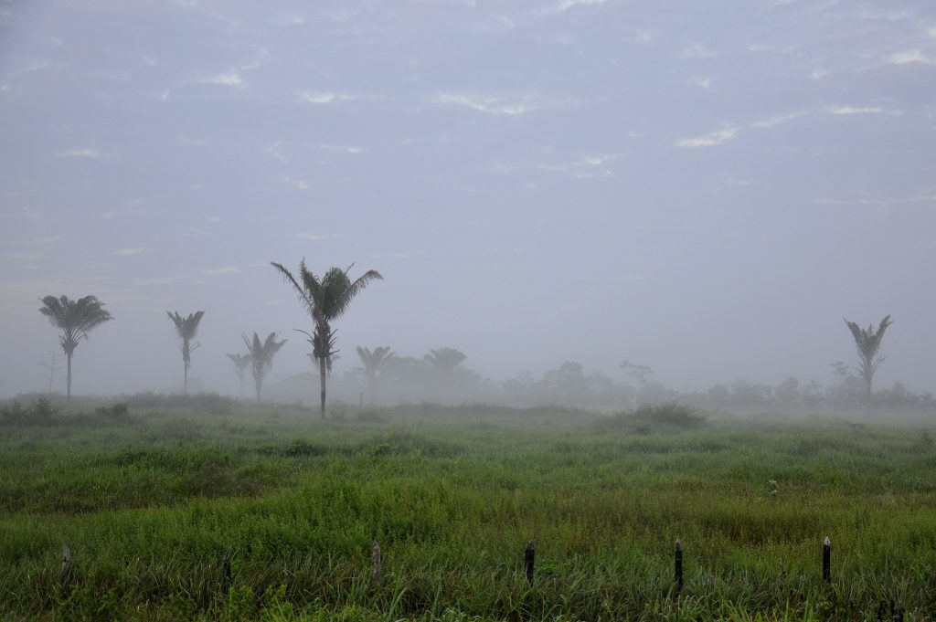 Humidity