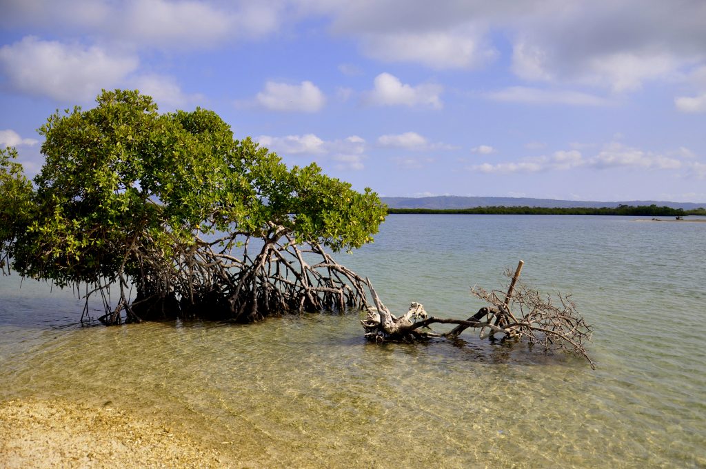 Tucacas