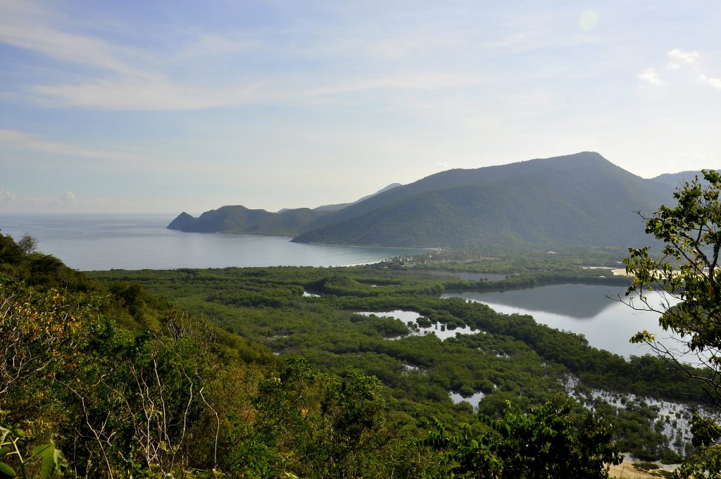 Bahia Patanemo