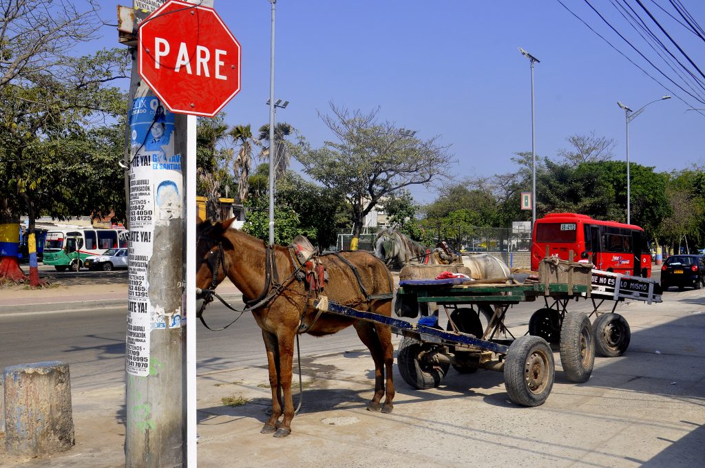 Barranquilla