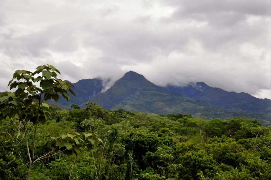 Tarapoto